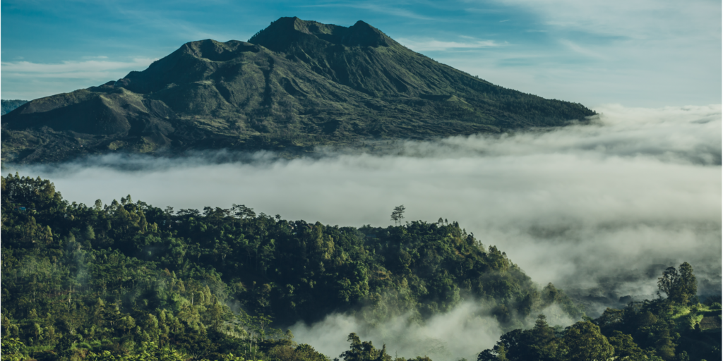 image-artikel-shutterstock_394785229